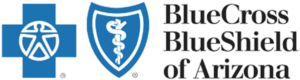 Blue Cross Blue Shield Logo