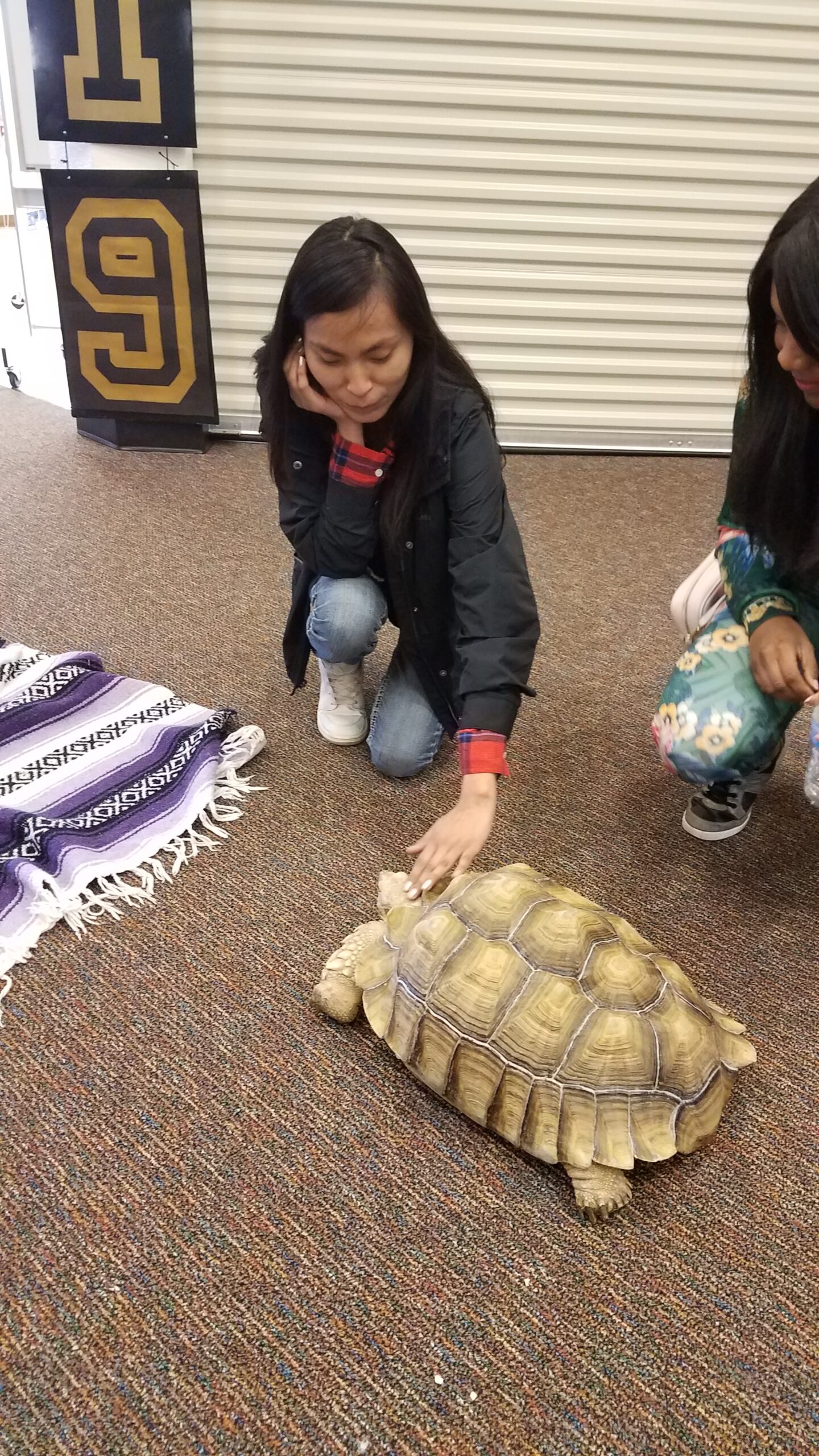 Student Petting Tortoise