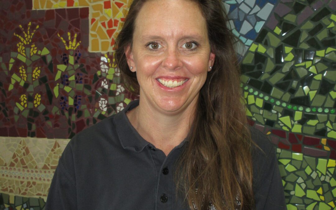 Teacher: Heidi McGervey - CCASD